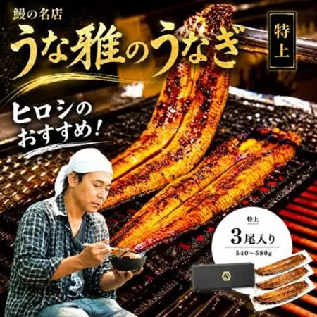 ヒロシのおすすめ!鰻の名店『うな雅』国産 手焼き 鰻【特上】かば焼き 3尾 540g～580g_魚介・海産物 うなぎ  ウナギ 鰻_【配送不可地域：離島】【1600557】