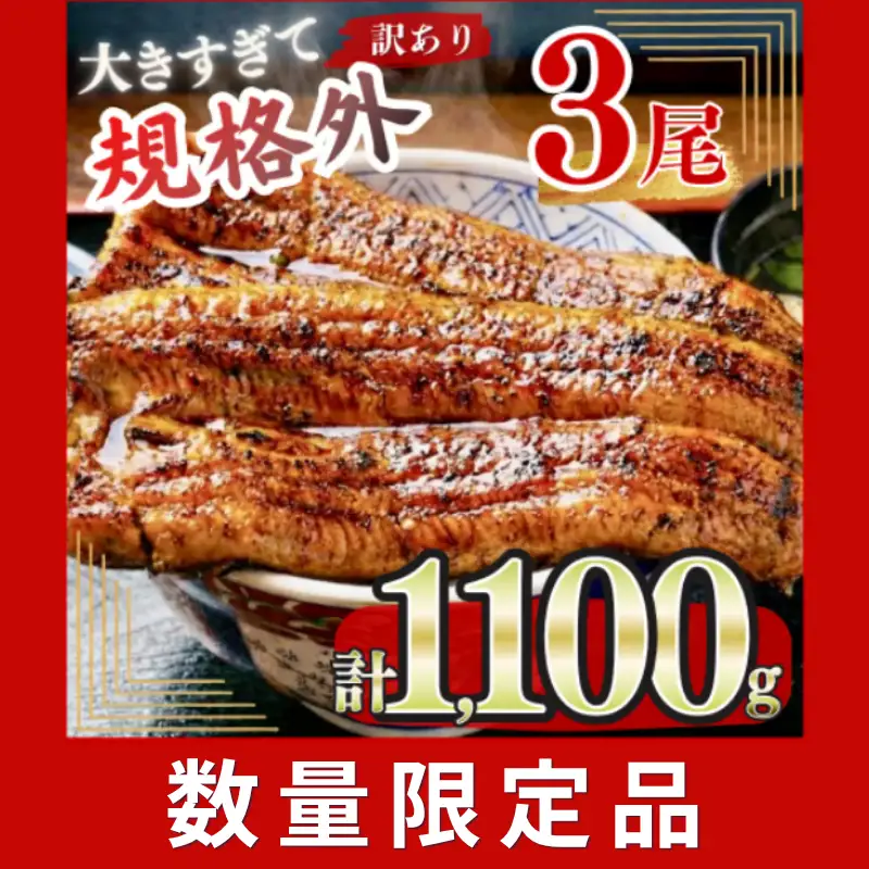 うなぎ】 特大 訳あり 3尾 1.1kg うなぎ | 福岡県宇美町 | ふるさと