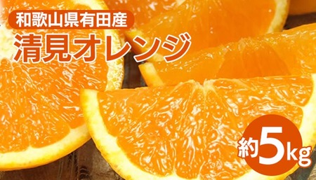 清見オレンジ[約5kg]和歌山県有田産 春みかん【果実サイズおまかせ】｜和歌山県産 柑橘 フルーツ 紀伊国屋文左衛門本舗