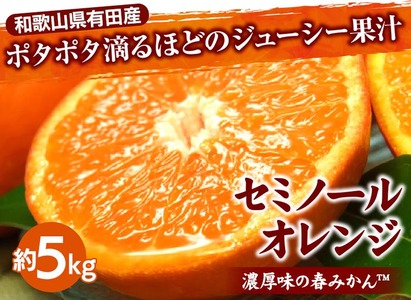セミノールオレンジ[約5kg] 和歌山県有田産 春みかん 【果実サイズおまかせ】｜和歌山県産 柑橘 フルーツ 紀伊国屋文左衛門本舗