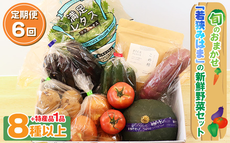 定期便 《6ヶ月連続お届け》旬のおまかせ「若狭みはま」の新鮮野菜セット 8種以上＋特産品1品【ふるさと納税 春野菜 夏野菜 秋野菜 冬野菜  定期便 定期 やさい 野菜 セット 詰合せ 大容量 産地直送 旬 新鮮 採れたて おススメ 人気 】  [m80-g001]