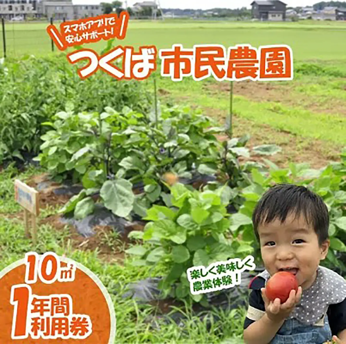 市民農園 ハルファーム 利用券　(10㎡ 1年分) 【農園】  