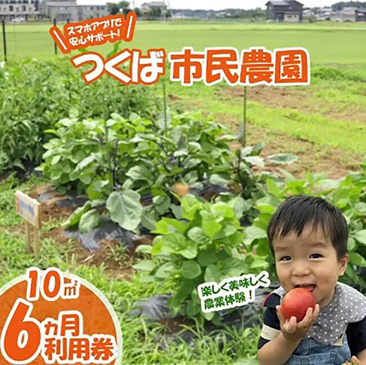 市民農園 ハルファーム 利用券 (10㎡ 6ヵ月分) 【農園】