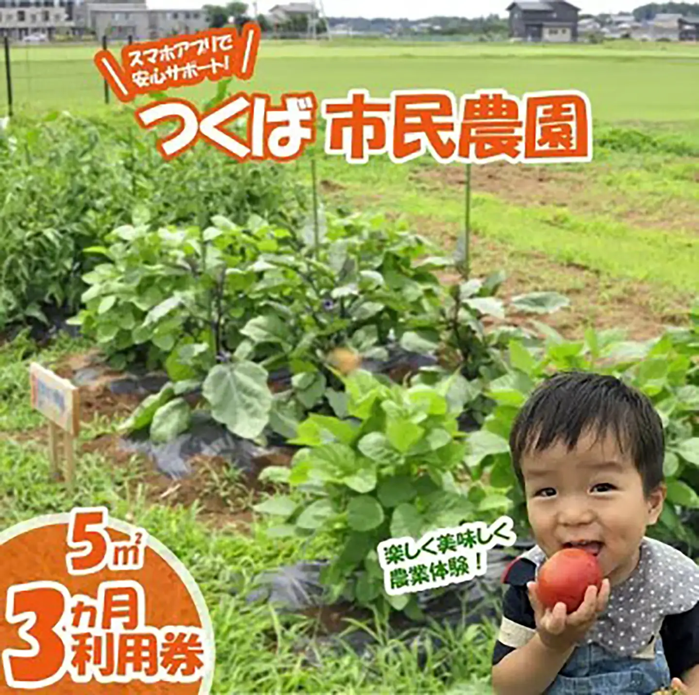 市民農園 ハルファーム 利用券 (5㎡ 3ヵ月分)【農園】