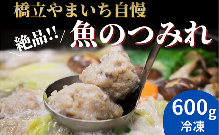 橋立やまいち自慢の魚のつみれ 2パックセット（冷凍）600g つみれ 魚 鍋 京都府 宮津市 myz02 myz11 myz17