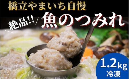橋立やまいち自慢の魚のつみれ 4パックセット（冷凍）1200g つみれ 魚 鍋 京都府 宮津市 myz02 myz11 myz17
