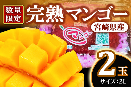 先行予約 【期間数量限定】2027年5月発送＜宮崎県産完熟マンゴー 2L 2玉入＞【MI232】【みまたんよかもん協同組合】