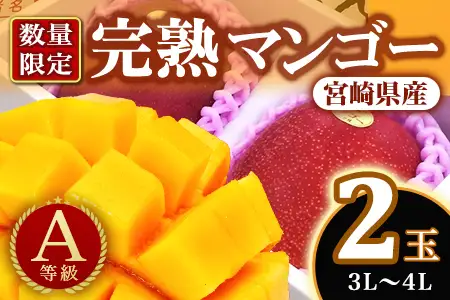 先行予約【期間数量限定】2027年5月発送＜宮崎県産完熟マンゴー 3L～4L 2玉 化粧箱入＞【B-0602】【みまたんよかもん協同組合】