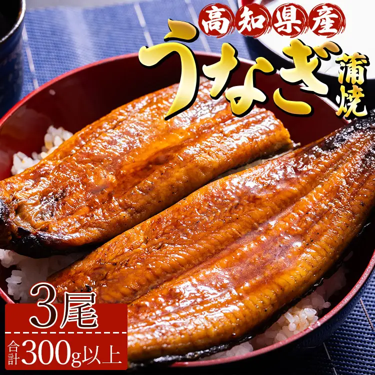 高知県産養殖うなぎ蒲焼 100～120g 3尾セット 国産 うなぎ ss-0025
