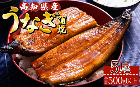高知県産養殖うなぎ蒲焼 5尾(合計500g以上) - タレ付き たれ 土用の丑の日 鰻 ウナギ かばやき 蒲焼き うな丼 うな重 ギフト お中元 御中元 父の日 お礼 御礼 感謝 プレゼント 送料無料 須崎市道の駅 高知県 香南市 ss-0040