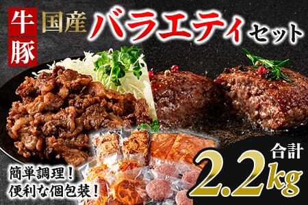 簡単お肉おかず小分けバラエティーセット総量約2.2kg(牛・豚)