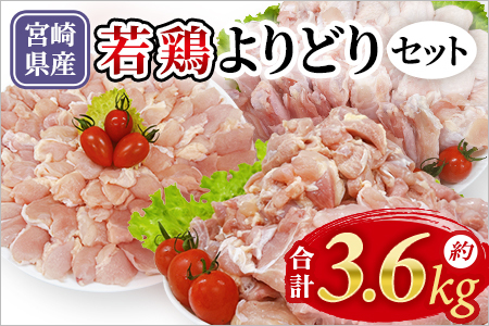 宮崎県産若鶏よりどりセット 約3.6kg 国産 鶏 肉 精肉 モモ もも肉 使いやすい パック 真空冷凍 切り身 選べる数量 お弁当 惣菜 からあげ 照り焼き 数量限定 BBQ バーベキュー 鶏ムネ 鶏むね 鳥モモ ささみ ササミ 小分け