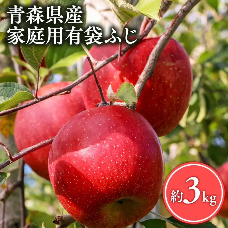 りんご 家庭用有袋ふじ３kg りんご