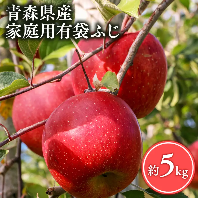 りんご 家庭用 有袋ふじ5kg りんご