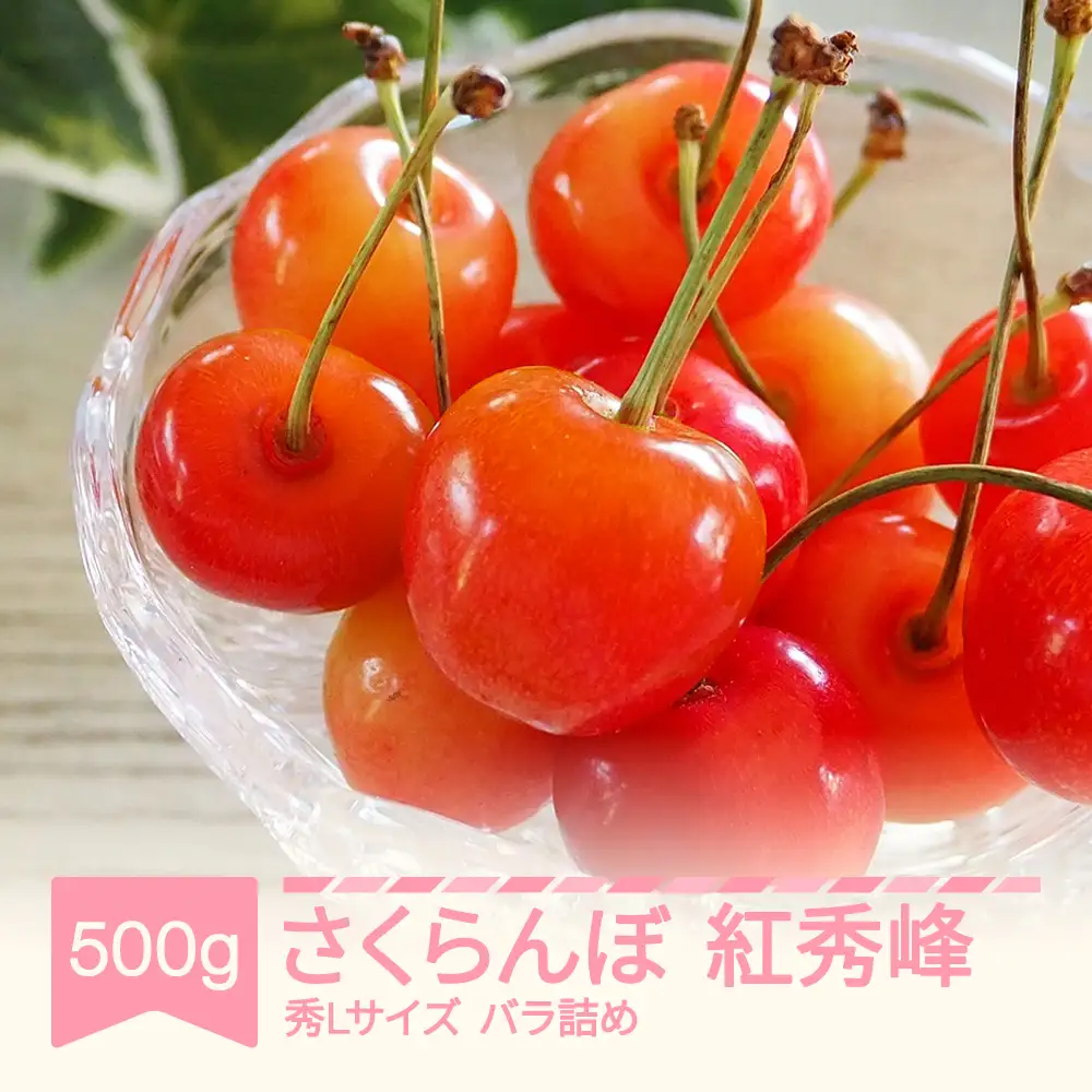 【先行予約】 さくらんぼ 紅秀峰 秀L 500g 令和9年産 ns-bsslb500