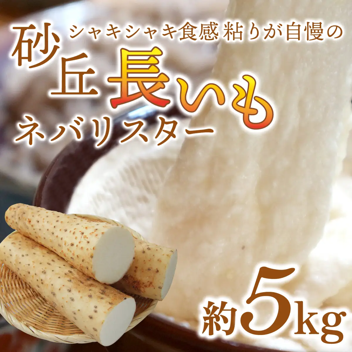 【先行予約 2026年収穫分】長いも（ネバリスター）5kg （1箱）/ 長いも