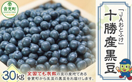 【令和7年産】 黒豆30kg 「JAおとふけ」 【D46】