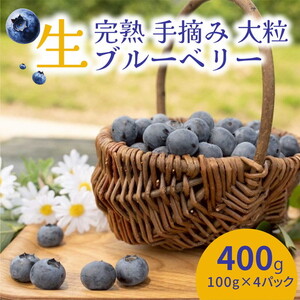 【先行受付予約】知多半島 生ブルーベリー 400g（100g×4パック）｜※2027年6月上旬～8月中旬に順次発送予定 