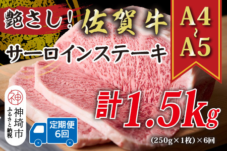 【6か月定期便】【A4～A5】佐賀牛サーロインステーキ 250g×6回(H112191)