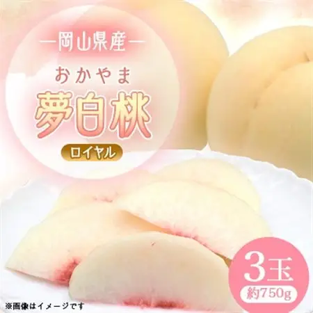 2027年先行予約　岡山県産おかやま夢白桃3玉【ロイヤル】_果物・フルーツ もも  モモ 桃_【配送不可地域：離島】【1601406】