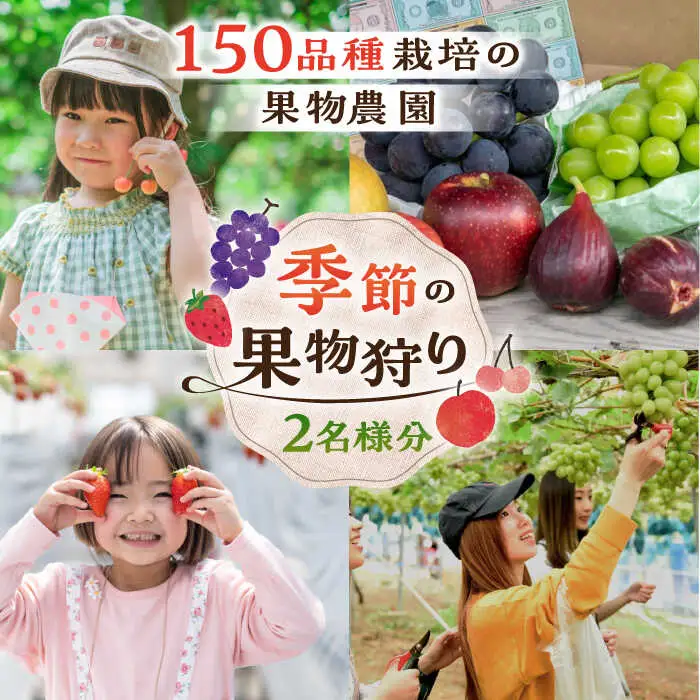 チケット 果物狩り 体験 2名様分 [APAA001] チケット