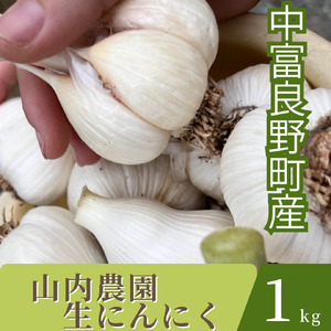 山内農園の生にんにく1kg【AW-020】