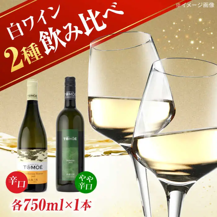 白ワイン 【先行予約】TOMOE 2本セットB[APAZ017] 白ワイン