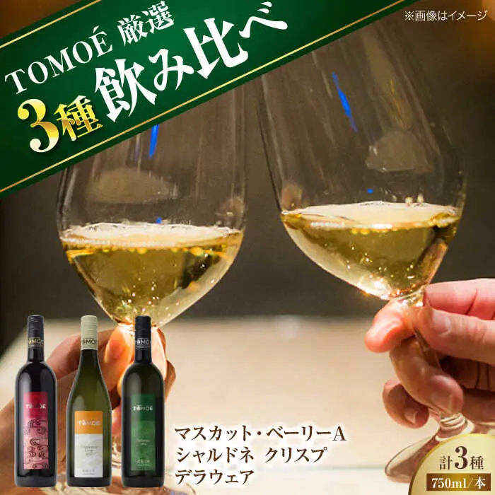  TOMOE 赤・白ワイン 3種セット[APAZ027]ワイン