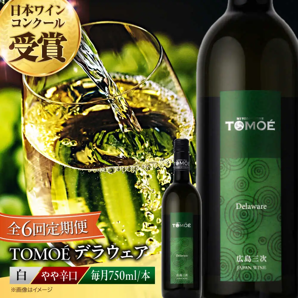 【全6回定期便】TOMOEデラウェア白ワイン[APAZ051] 白ワイン