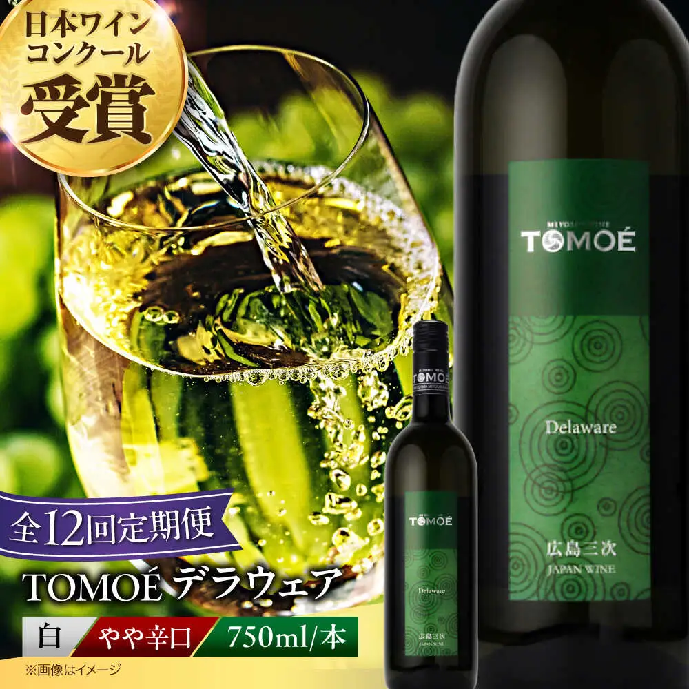 【全12回定期便】TOMOEデラウェア白ワイン[APAZ052]白ワイン