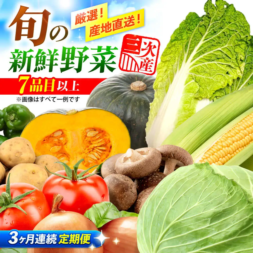 【3回定期便】野菜セット[APBA015] 野菜 詰め合わせ