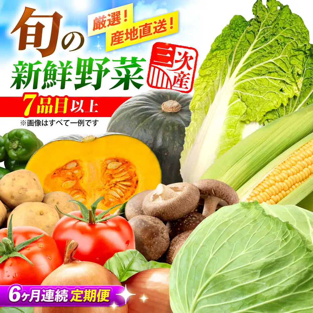 【6回定期便】野菜セット[APBA016] 野菜 詰め合わせ