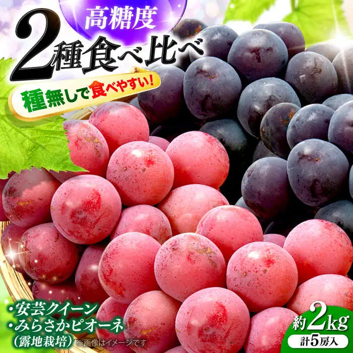 【先行予約】ぶどう みらさかピオーネ2房＆安芸クイーン3房 ＜8月下旬頃から順次発送＞[APBE005] ピオーネ ぶどう