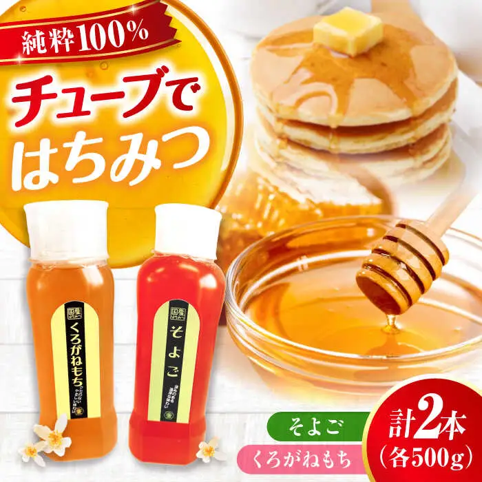 はちみつ チューブ2本セット（そよご・くろがねもち）各500g [APBO008] はちみつ