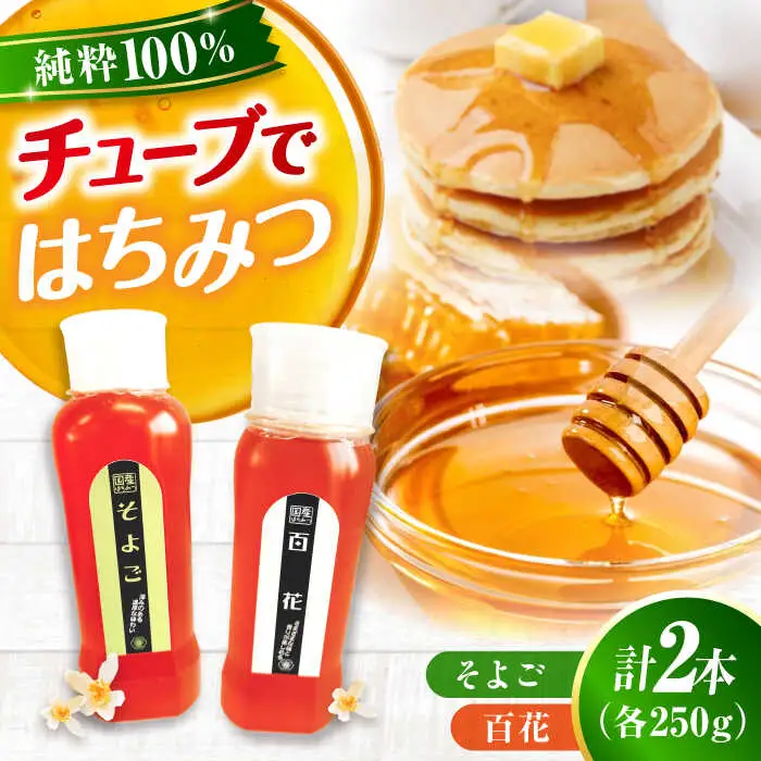はちみつ チューブ2本セット（百花・そよご）各250g [APBO010] はちみつ