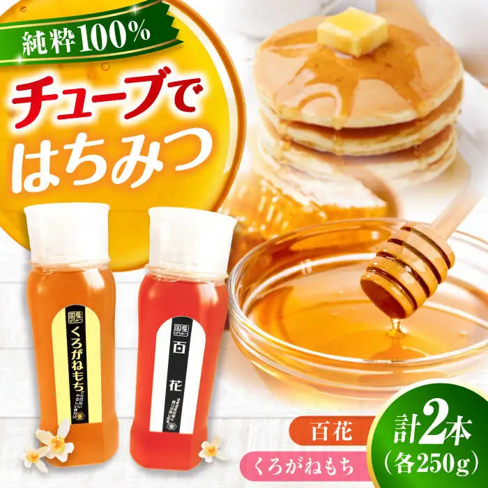 はちみつ チューブ2本セット（百花・くろがねもち）各250g [APBO011] はちみつ