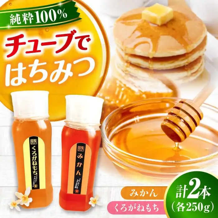 はちみつ チューブ2本セット（みかん・くろがねもち）各250g [APBO013] はちみつ
