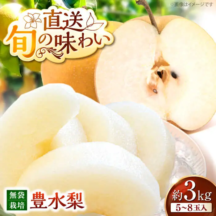 梨 豊水 3kg APBU001 フルーツ 梨 