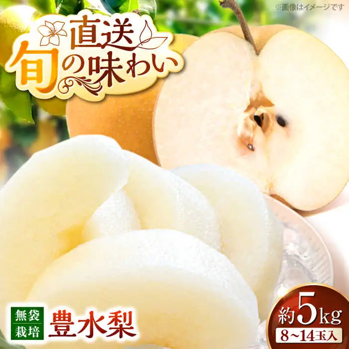梨 豊水 5kg APBU002 梨 フルーツ