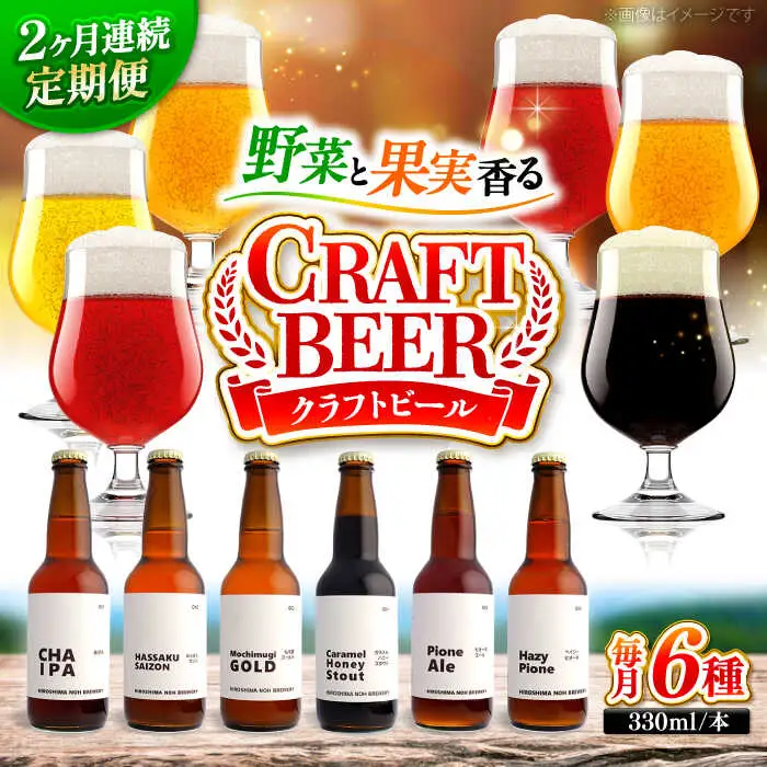 【全2回定期便】クラフトビール（地ビール）6種類[APCA003] ビール