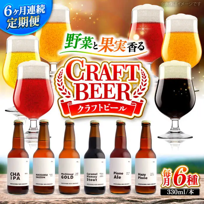 【全6回定期便】クラフトビール（地ビール）6種類[APCA005] ビール