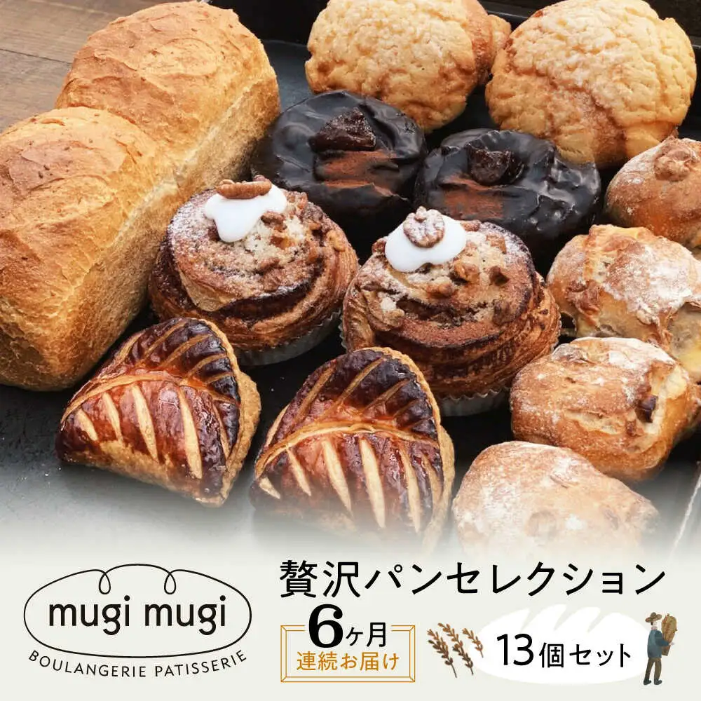 【全6回定期便】贅沢パンセレクション13個セット[APCI006] パン 詰め合わせ