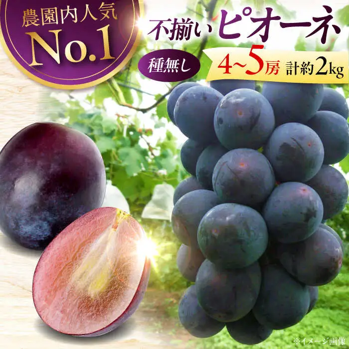 ピオーネ 2kg 【訳あり】ぶどう [APCK002] ピオーネ