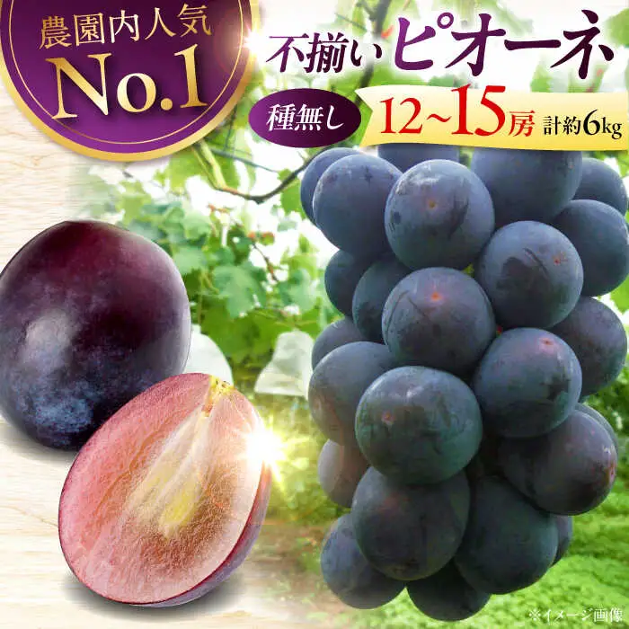 ピオーネ 6kg 【訳あり】ぶどう [APCK004] ピオーネ
