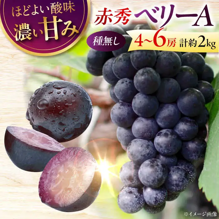 ぶどう ＜9月上旬から順次発送＞ ベリーA 2kg [APCK005] ぶどう