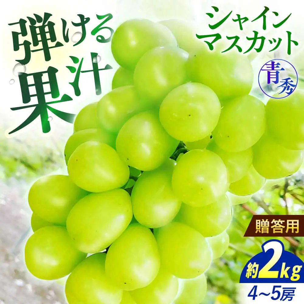 【2026年先行予約】シャインマスカット 2kg 青秀 [APCM004] シャインマスカット