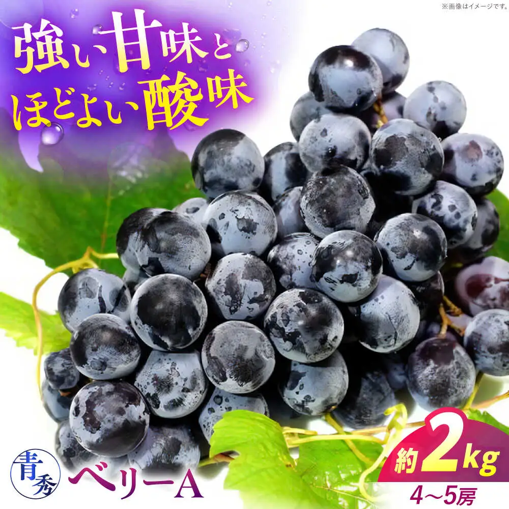 ぶどう ベリーA 2kg 青秀 [APCM012] ぶどう