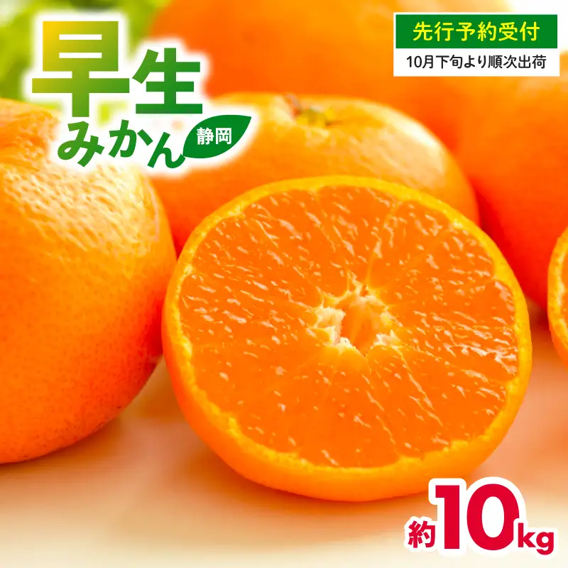 【10月下旬発送】早生みかん 10kg 先行予約 みかん
