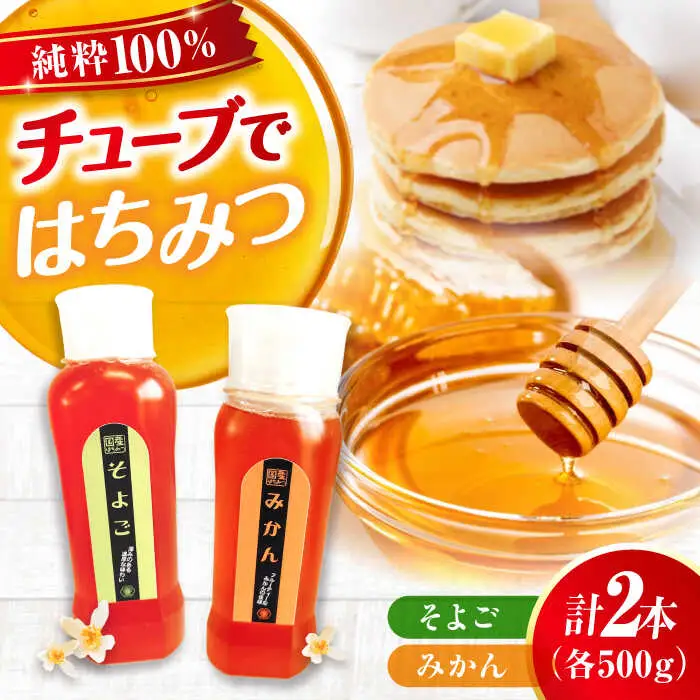 はちみつ チューブ2本セット（みかん・そよご）各500g [APBO006] はちみつ