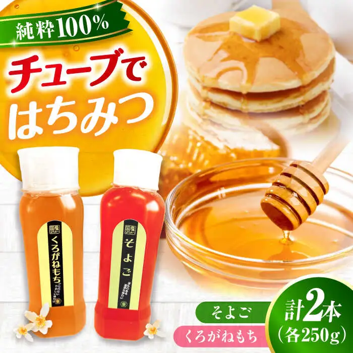 はちみつ チューブ2本セット（そよご・くろがねもち）各250g [APBO014] はちみつ
